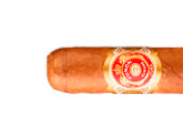 Punch-Short-small-stock.jpg