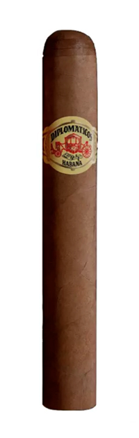 diplomaticos-cancilleres.jpg